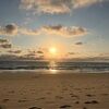 kelly_224